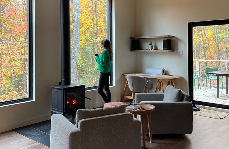 Vue sur la forêt laurentienne avec poêle à bois chalet à louer